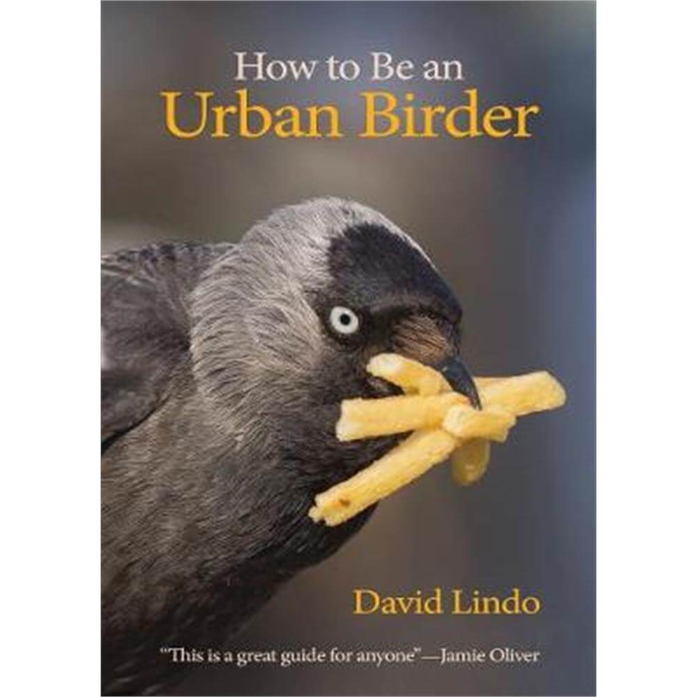 How to Be an Urban Birder (Paperback) - David Lindo